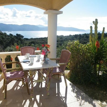 Villa Liamone Studio Fuer 3 Personen , 400 M Vom Strand, Pool, Klimaanlage 사공 외부 사진