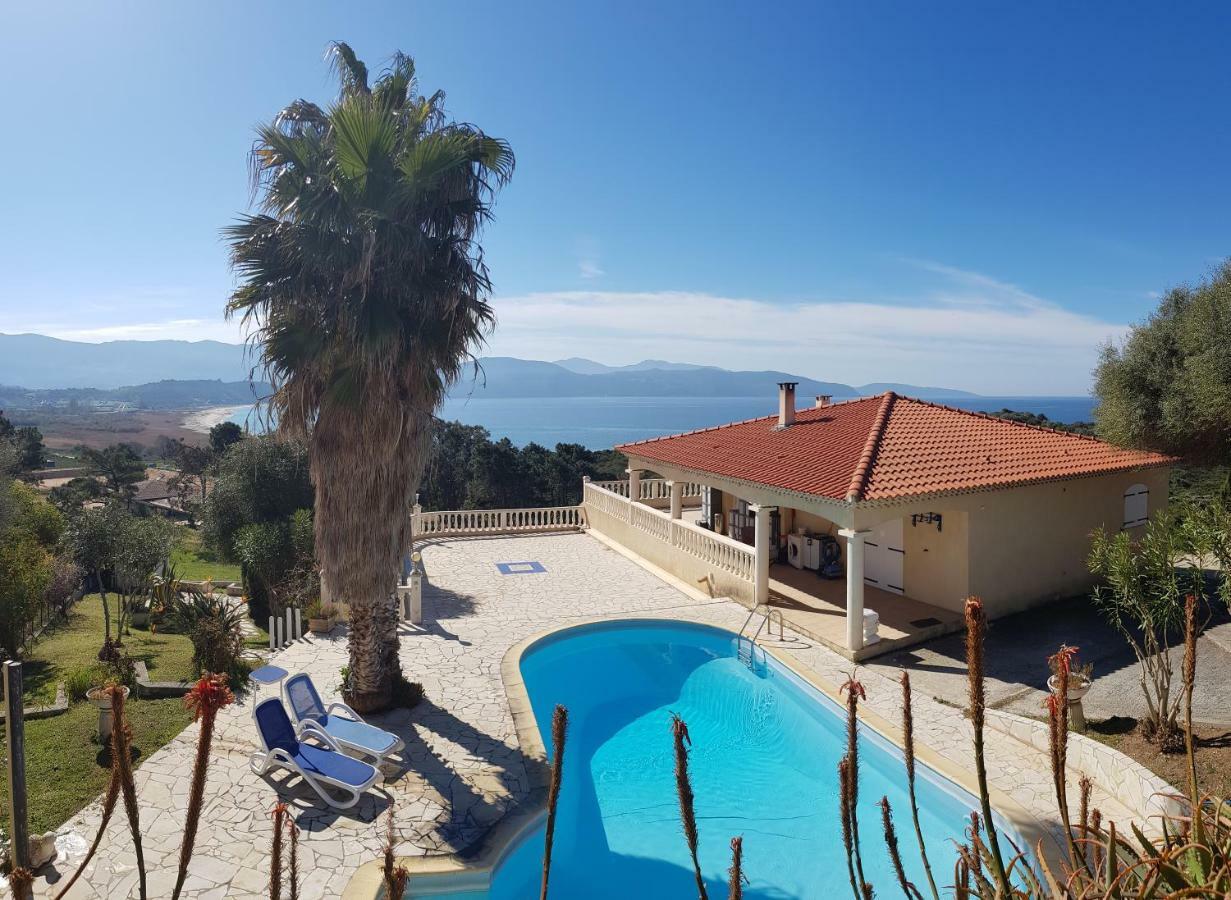 Villa Liamone Studio Fuer 3 Personen , 400 M Vom Strand, Pool, Klimaanlage 사공 외부 사진